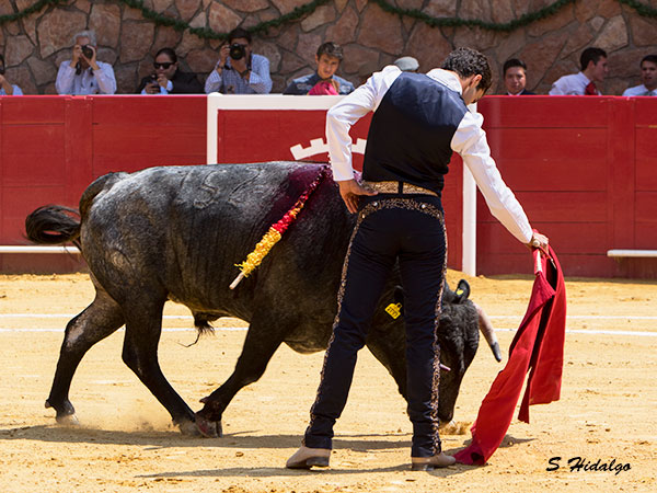 Intentando por derecha