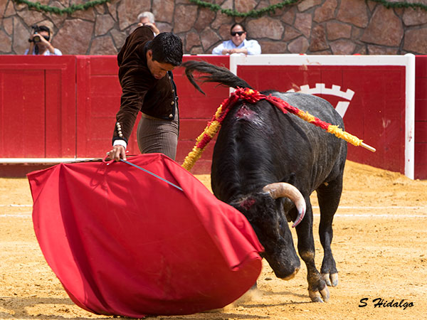 En el �nimo de la aficion