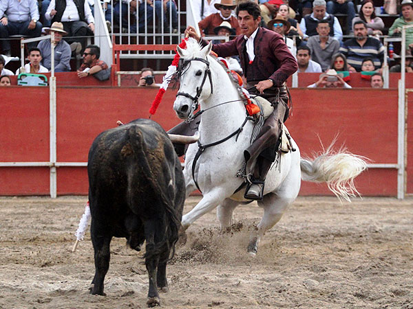 Quiebros de gran cercan�a