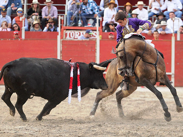 Temple y plasticidad