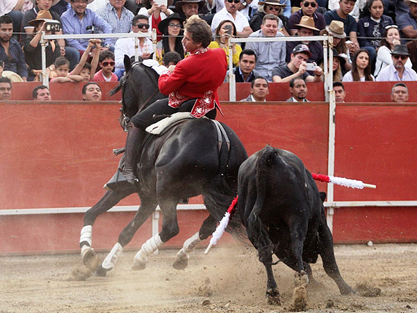 Por dentro muy en corto