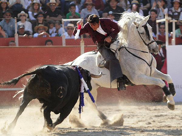 La belleza del toreo a caballo