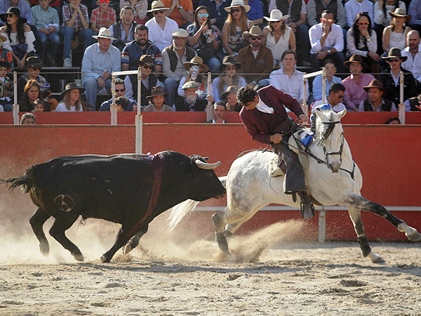 Llev�ndolo muy toreado