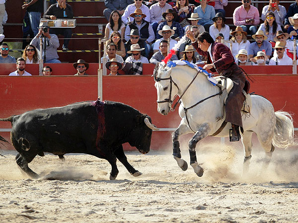 Luis Pimentel, de frente