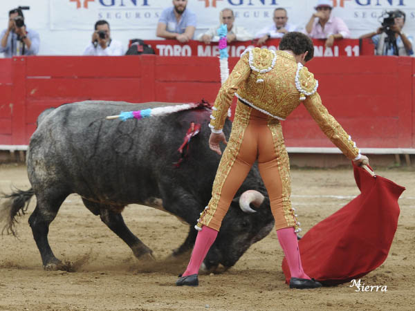 Embestidas nobles, con fijeza