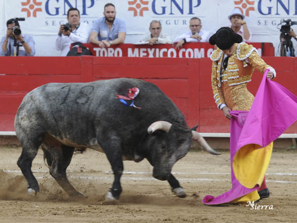 Ver�nicas de Mar�n tuvieron sabor