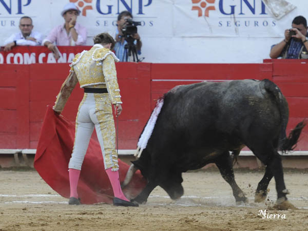 Otro gran astado de La Estancia