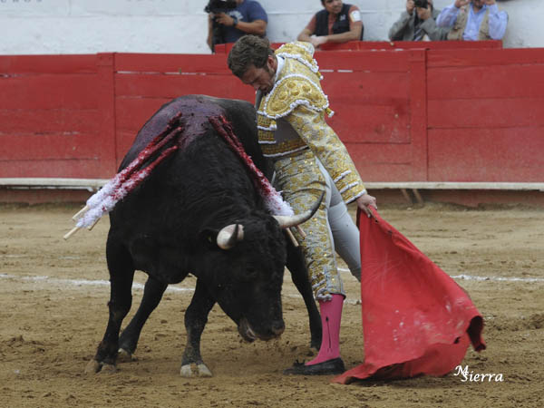 Expresi�n de torer�a