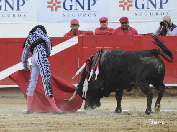 La plaza volcada con el esteta galo