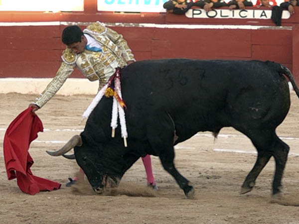 Muletazos de val�a