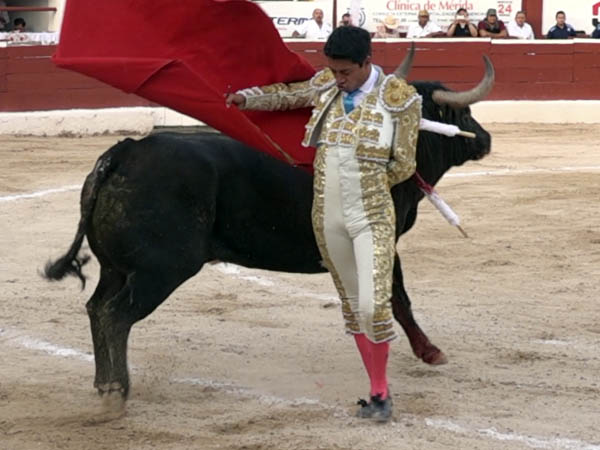 Seguir escalando y consolidarse