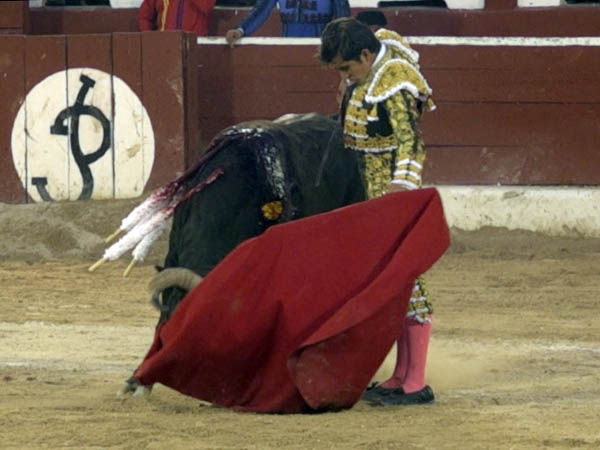 Centrado y con cabeza clara