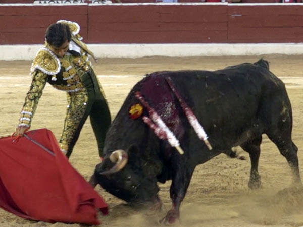 Diferente corte pero subido tono