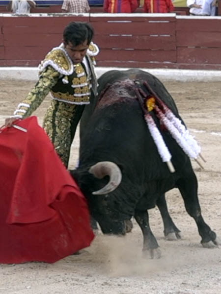 Por la misma tesitura