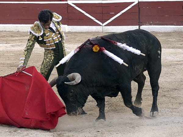 Nobles embestidas del morito