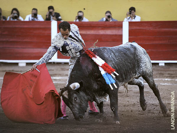 Expresivos muletazos