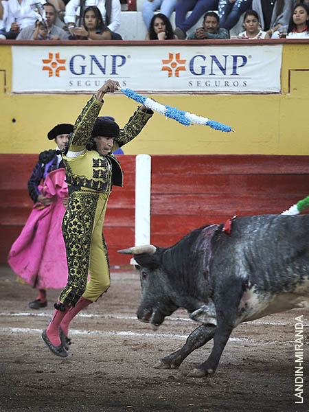 Kingston, ovacionado en el par