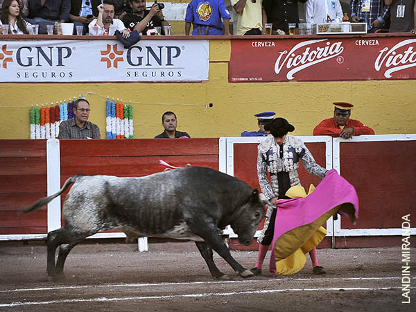 Leonardo saluda a su segundo