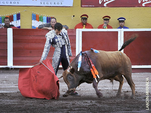 La barbilla encajada