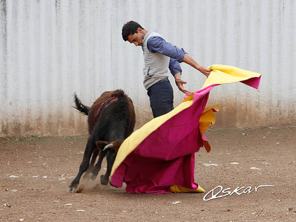 Belleza en los lances