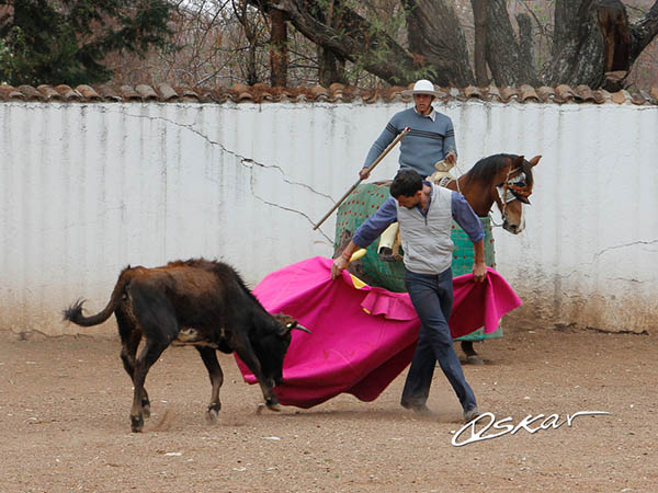 Al paso hasta el caballo