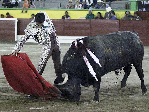 Calidad en la embestida