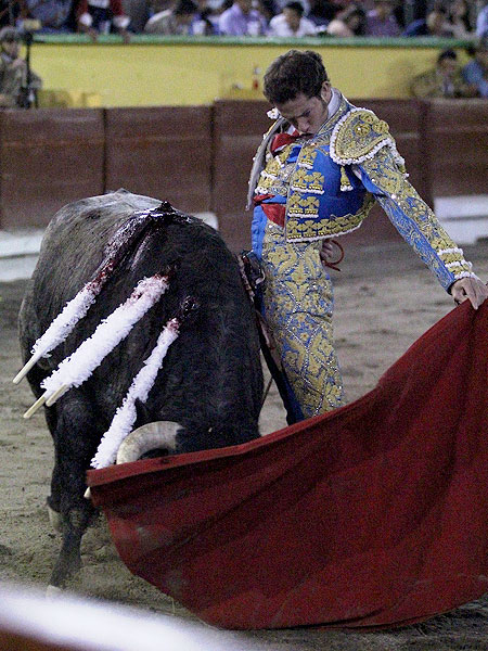 Saldivar la elegancia al poder