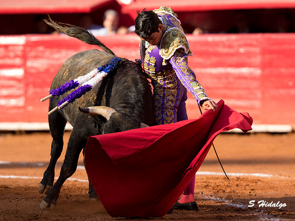 Procur� ajustarse en los embroques