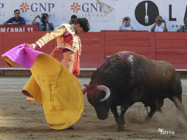 Nos adue�amos del torero