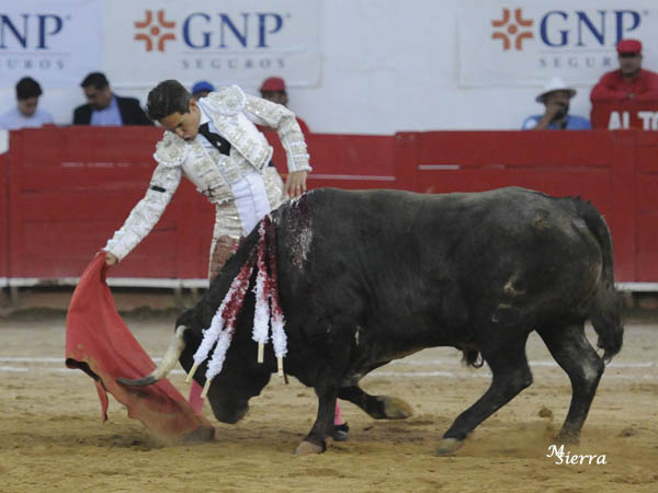 Un buen toro; pero poca fuerza
