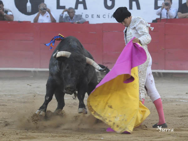 Diego y el corrido en sexto