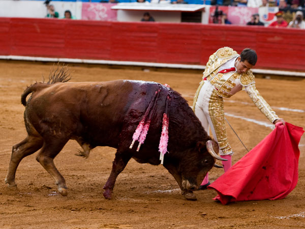 Largo el muletazo de Orozco (S.H)