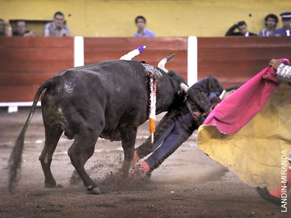 Cornado en la regi�n axilar