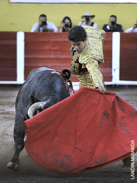 Faena con estructura