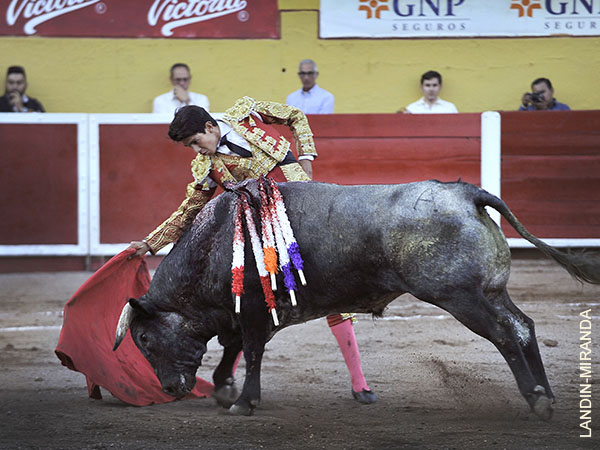 Se dej� meter mano