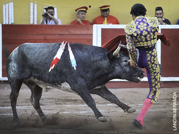 Jirones de taleguilla