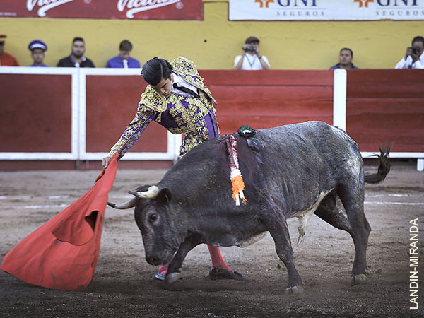 Expresi�n de artista