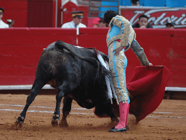 T�llez lo intent�  (T.A)