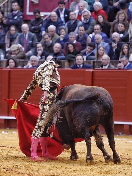 Profeta en su tierra