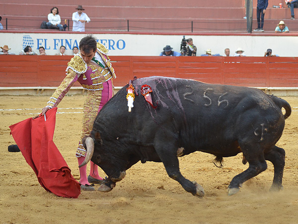 Mac�as, altos vuelos