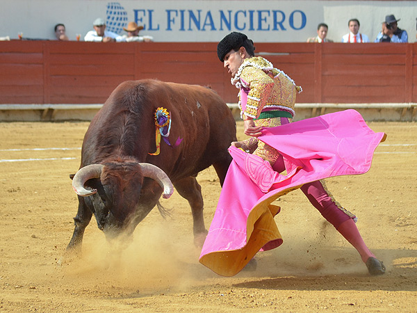 Dej�ndolo al caballo