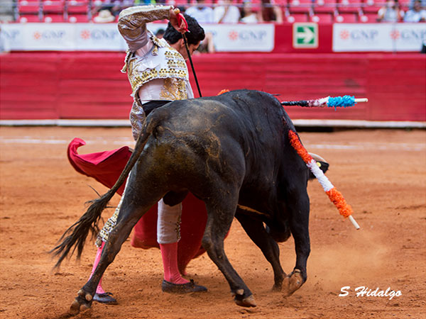 Juan Padilla, avances