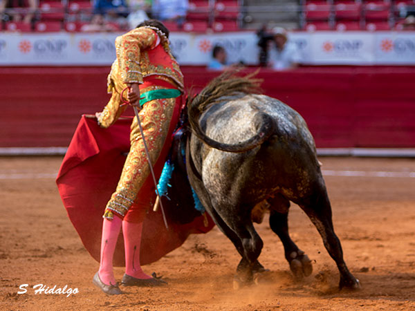 En los terrenos del toro