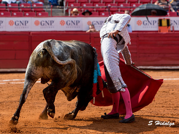 Pases de excelente factura