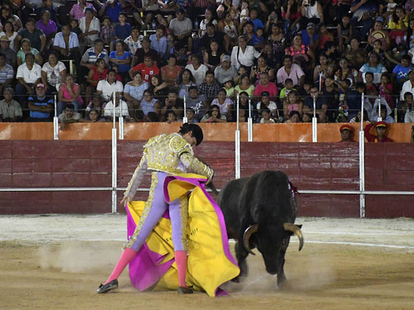 Lucida faena de Diego