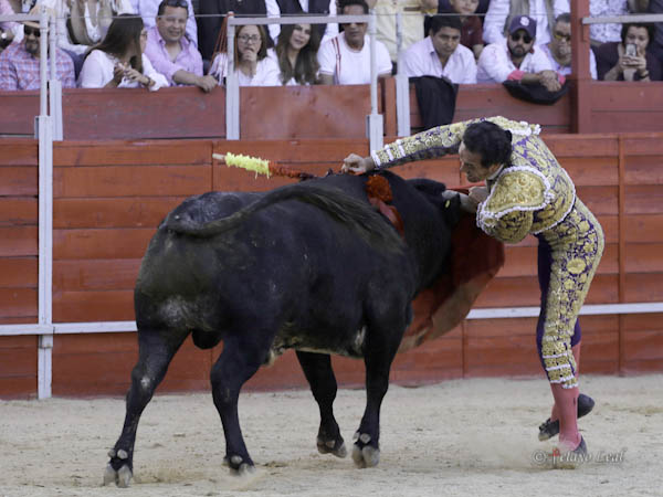 Fulminado con la espada
