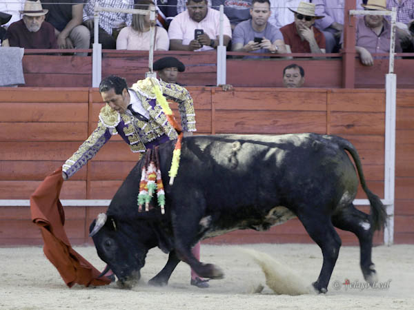 Sin tocar la franela