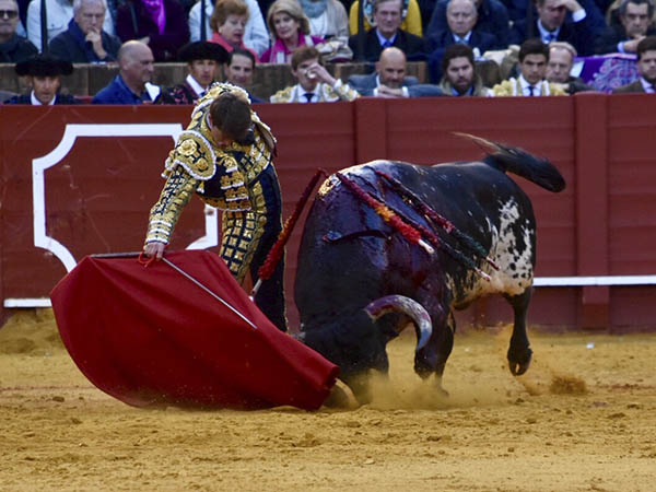 La faena de Lama de G�ngora