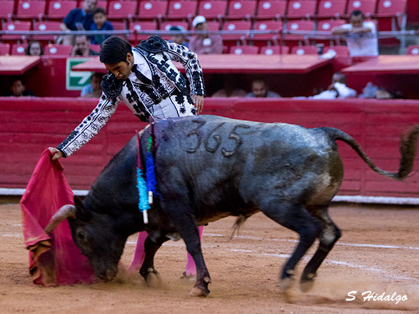 Alejandro Fern�ndez, buenos momento