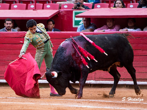 Javier Segovia, detalles de calidad